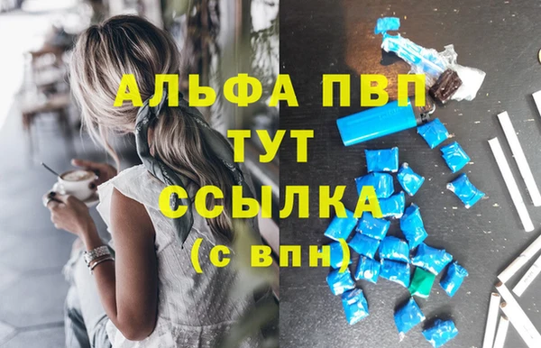 Альфа ПВП Аркадак