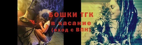 Альфа ПВП Аркадак