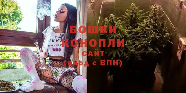 Альфа ПВП Аркадак