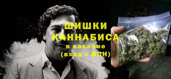 Альфа ПВП Аркадак