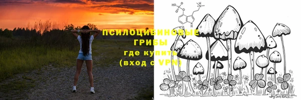 PSILOCYBIN Арсеньев