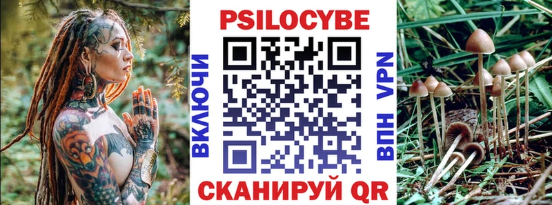 Псилоцибиновые грибы прущие грибы  Кашин 